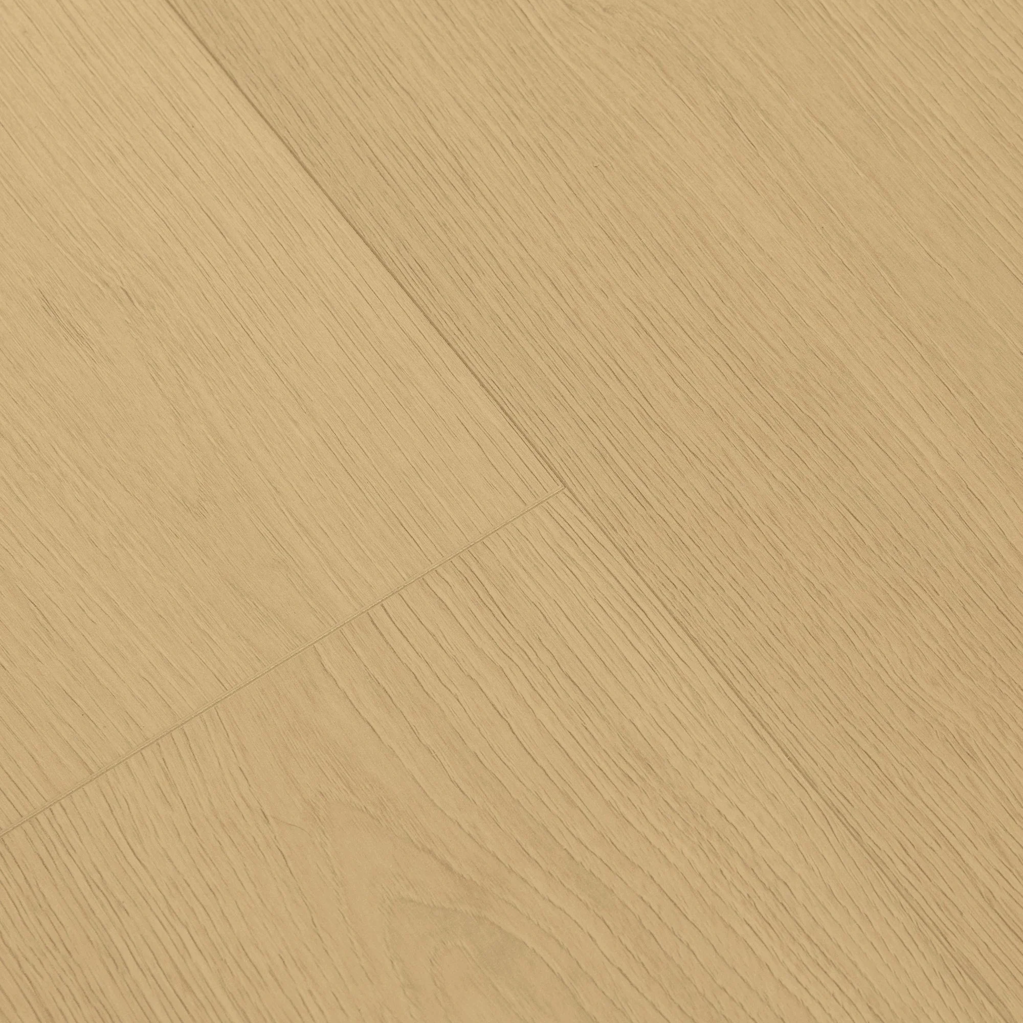 Select Sand Natural - Ocean Water Resistant 8mm Laminate Flooring (B8321) - Image 3