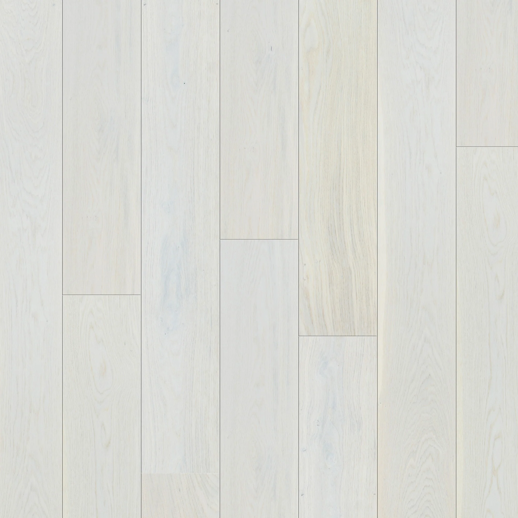 Ivory Oak - 14mm Wide UV Lacquered Engineered Real Wood Flooring - Image 2