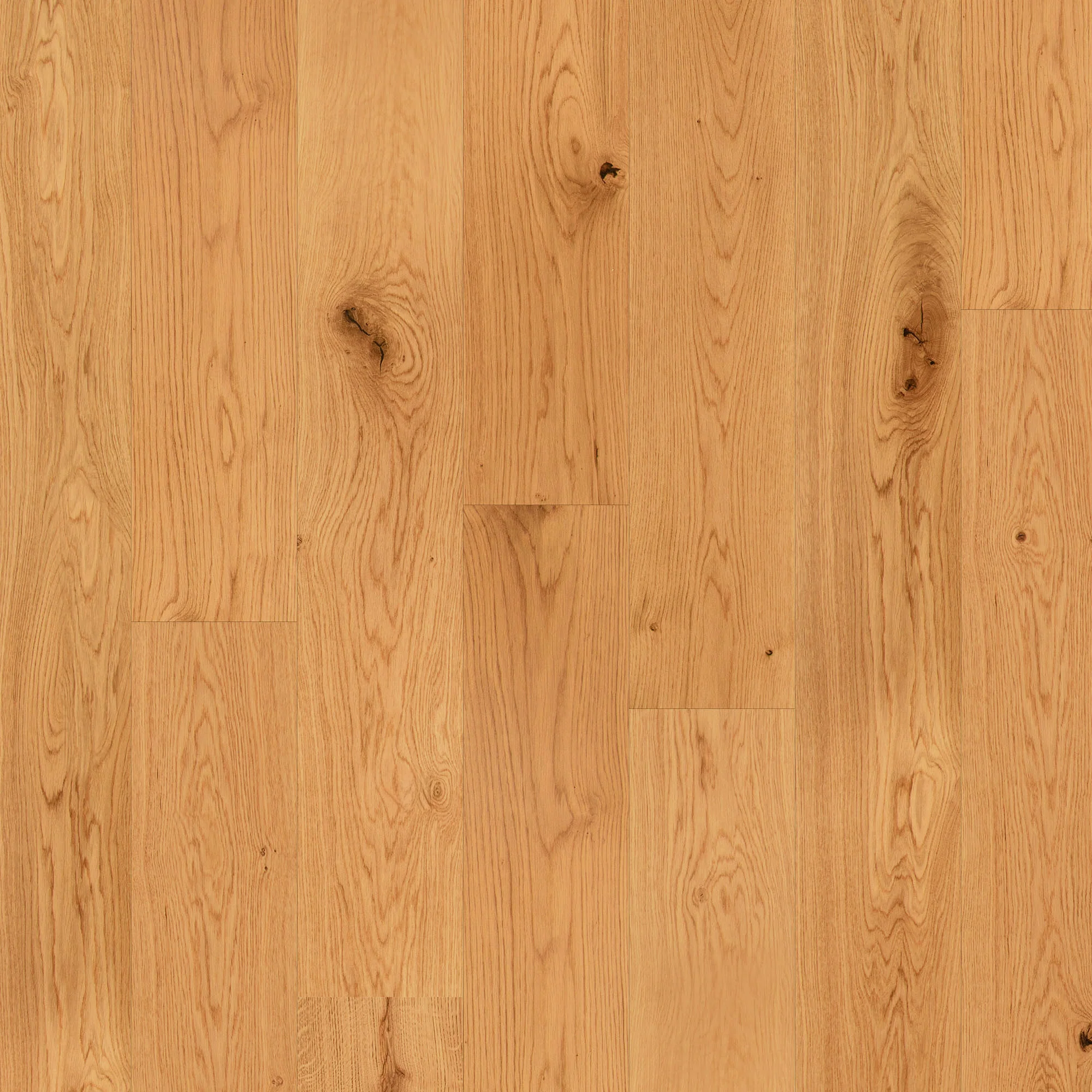 Natural Oak - 12mm UV Lacquered Engineered Real Wood Flooring - Image 2