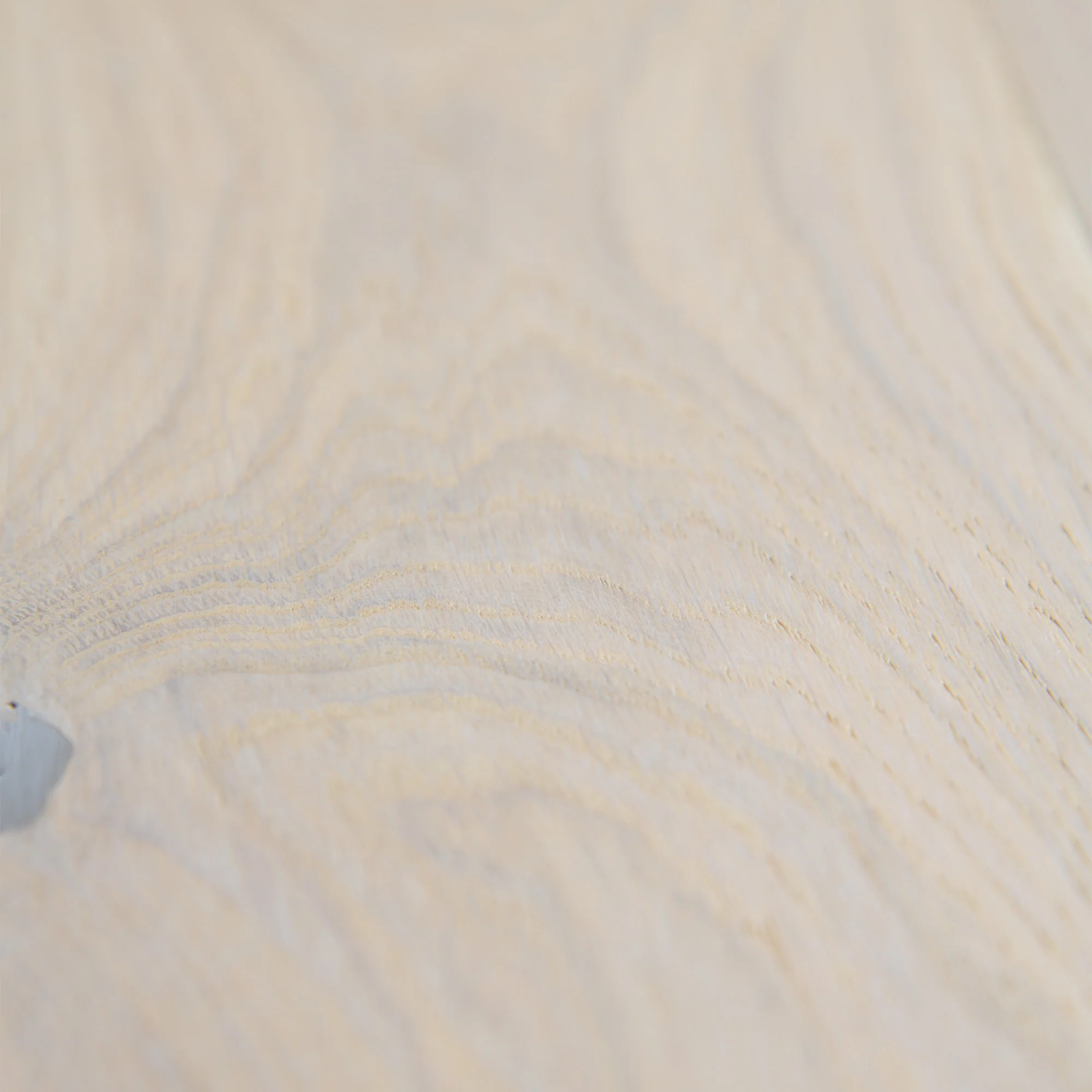 New White Oak - 14mm Light Brushed Engineered Real Wood Flooring (EOTG14x164NW) - Image 5